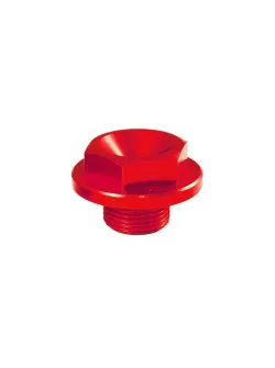 RTECH TRIPLE CLAMPS BOLT - 200.041.004