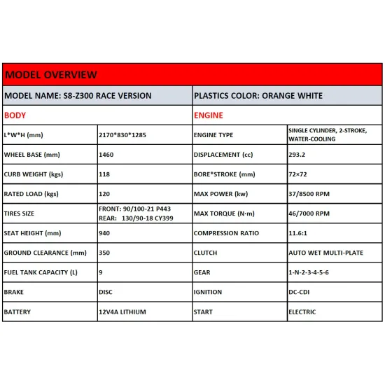 HENGJIAN S8-Z300 RACE VERSION #1