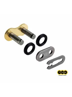 REGINA Chain Link for 126RX3 Chain
