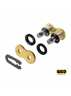 REGINA Special - Spring Master Link 135ZRE Chain