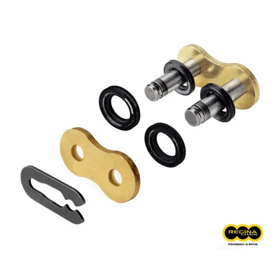 REGINA Special - Spring Master Link 135ZRE Chain #1